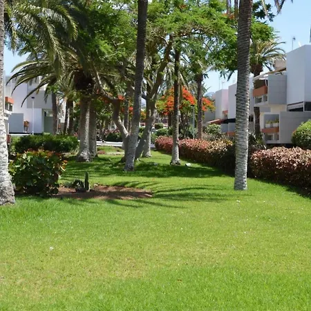 Costa Del Silencio Primavera * Las Galletas